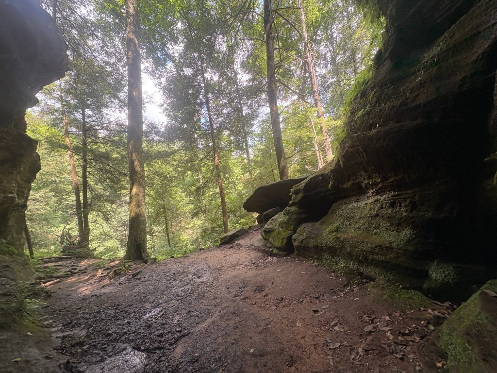 Life after Death (A Letter to My Father)